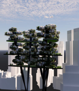 urban verticality … amity new york